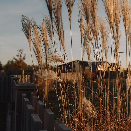 Seaside Apartments 罗亚 外观 照片